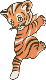 Tiger cub illustration